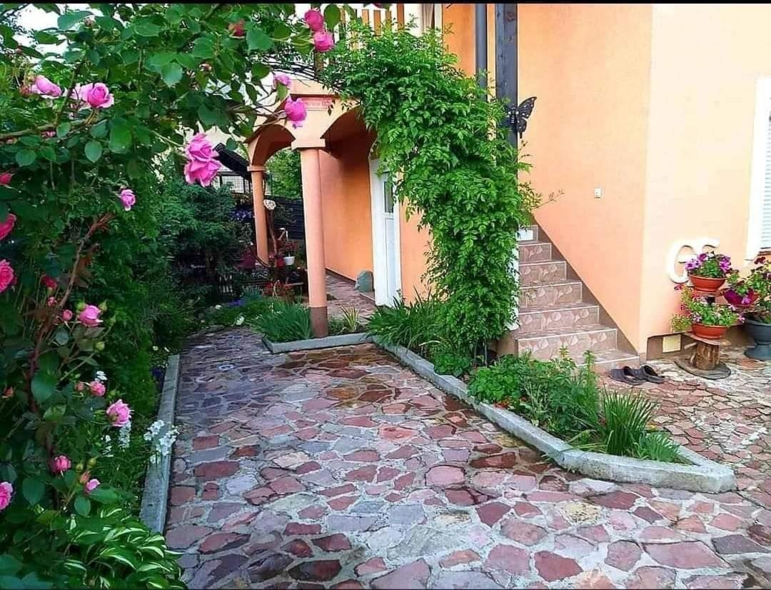 Apartmani Gs ***** Zavidovici Extérieur photo